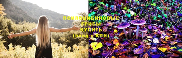 твердый Алексеевка