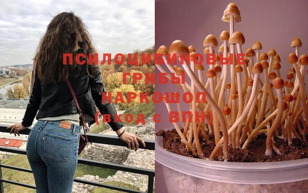 экстази Баксан