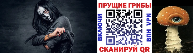 Галлюциногенные грибы MAGIC MUSHROOMS Тогучин