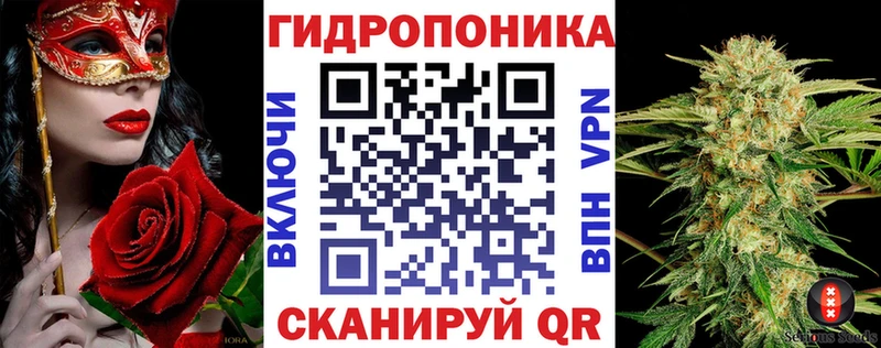 закладка  Тогучин  Конопля план 
